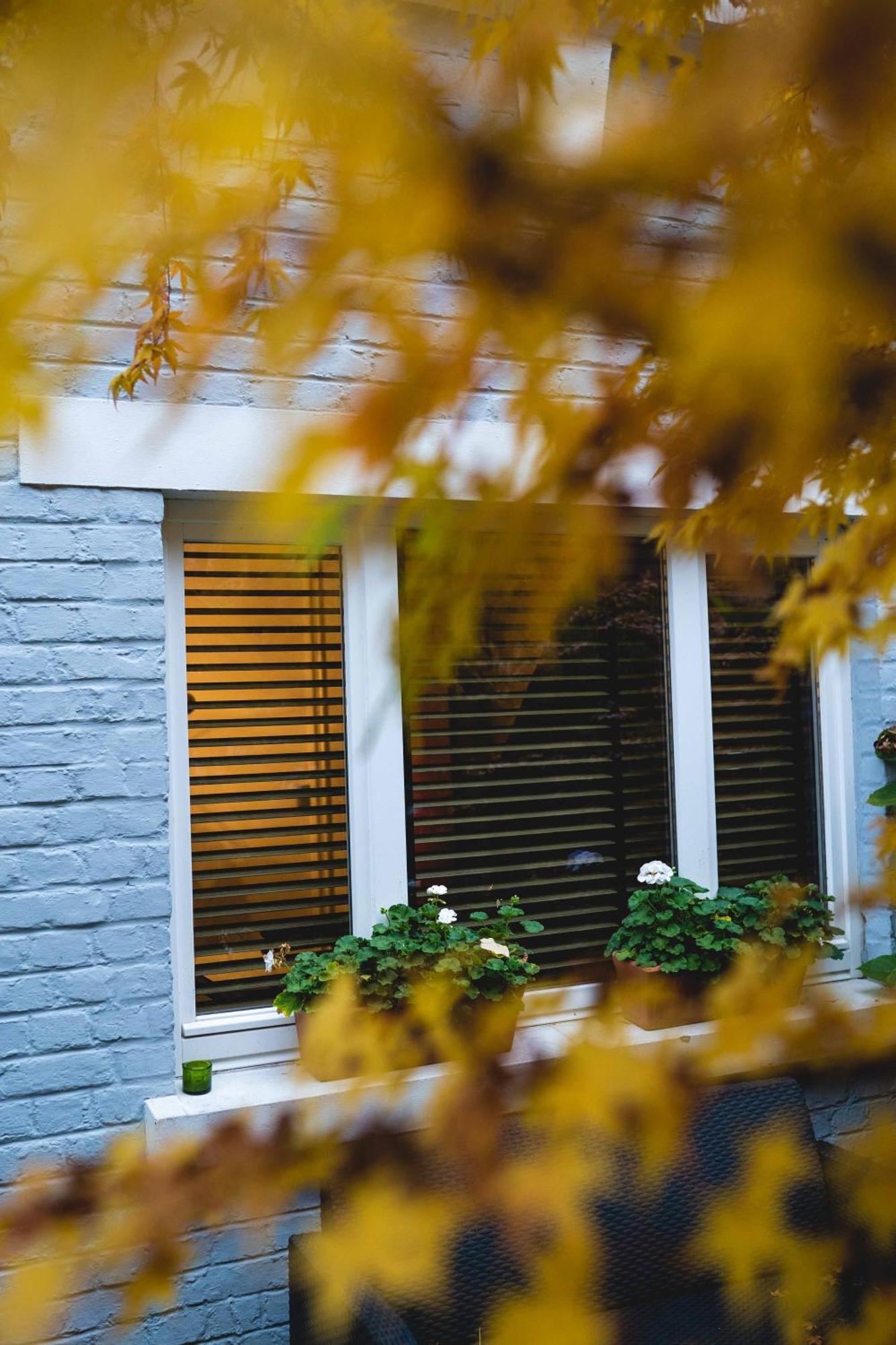 B&B The Street Lodge Льєж Екстер'єр фото